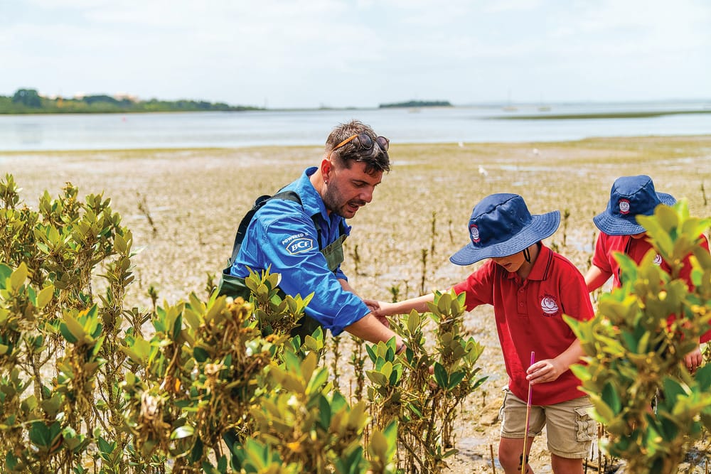 He saves seashells for the sea floor post image