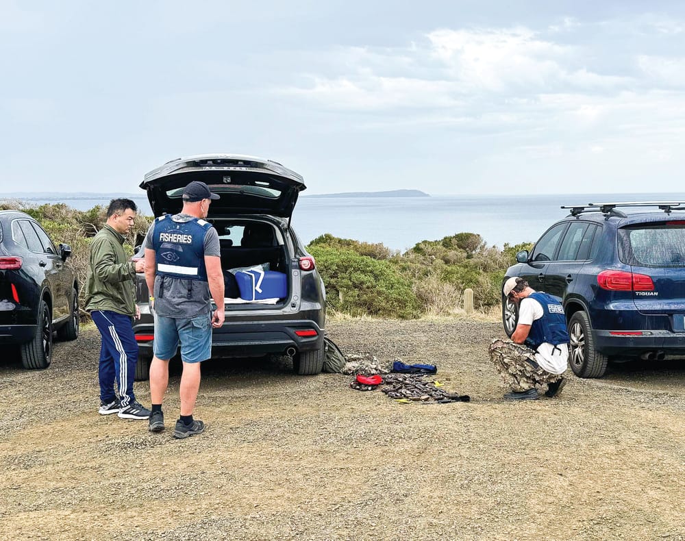 Yet more illegal seafood poaching off Phillip Island post image