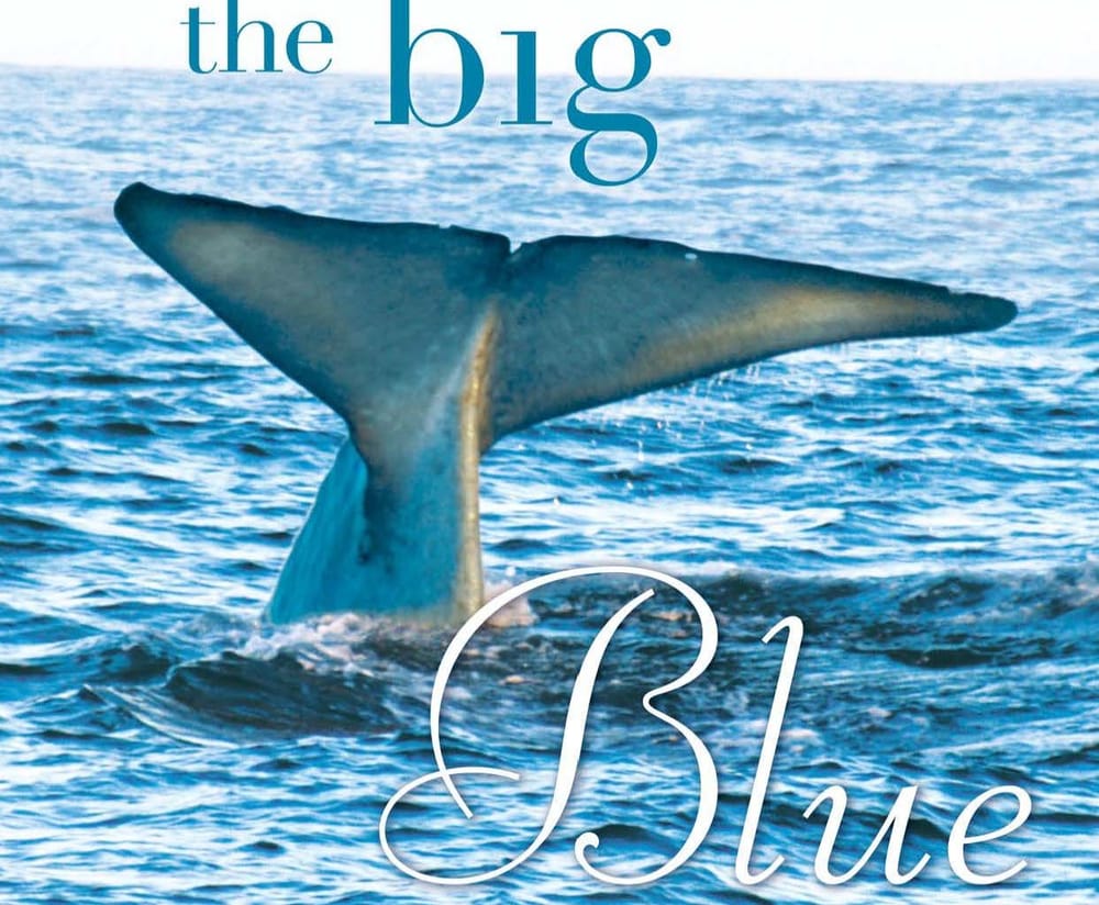 Whales, wine and wisdom post image