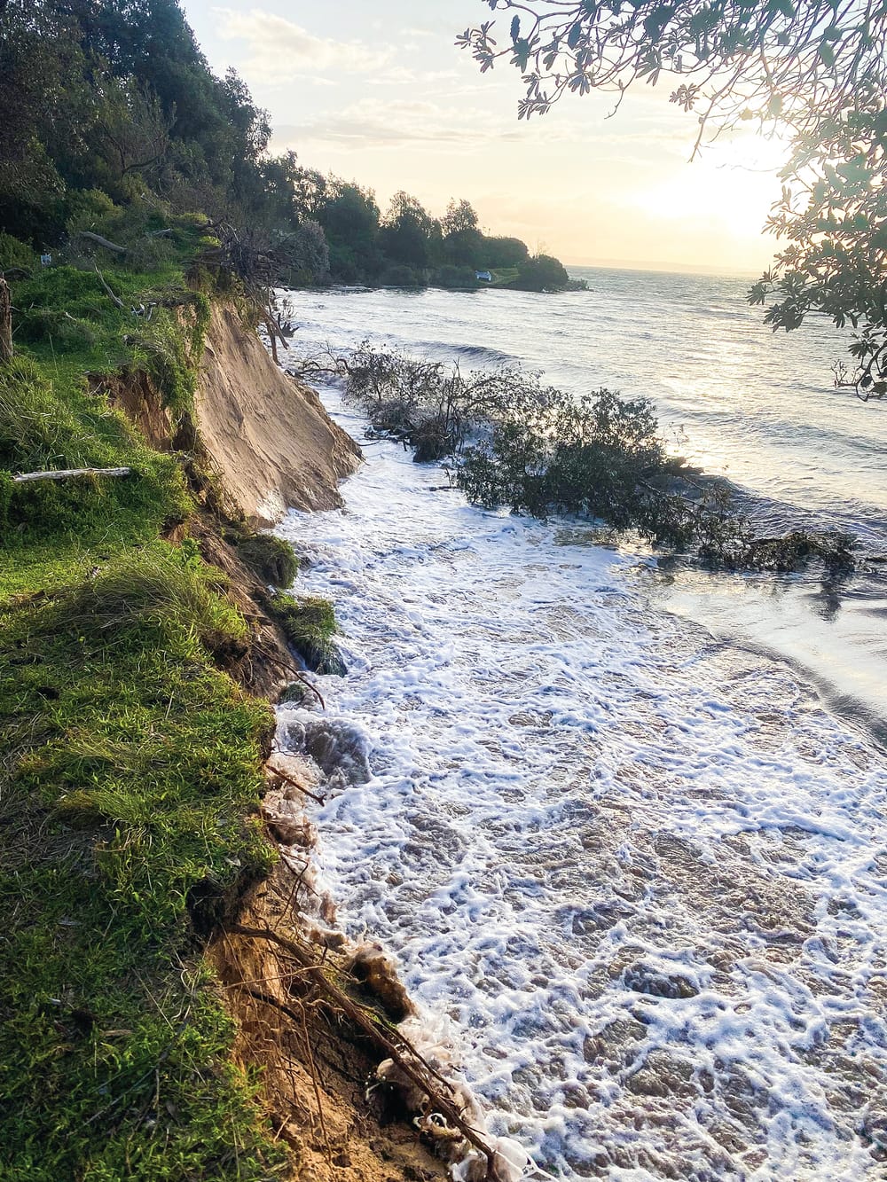 Question everything: February meeting post image