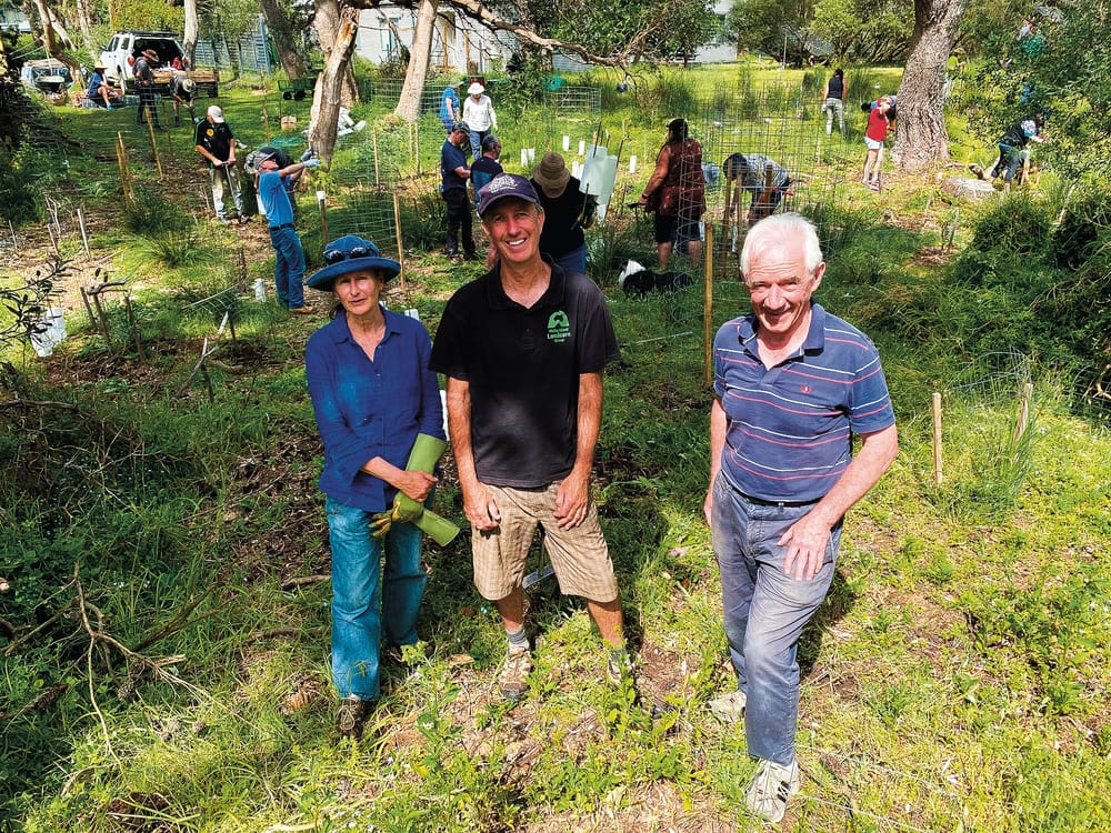 Calling on Cowes Coastal Carers post image