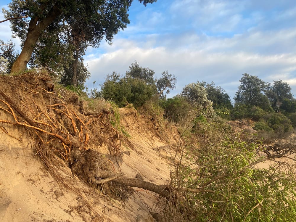 Buyback, class action, urgent meeting? post image