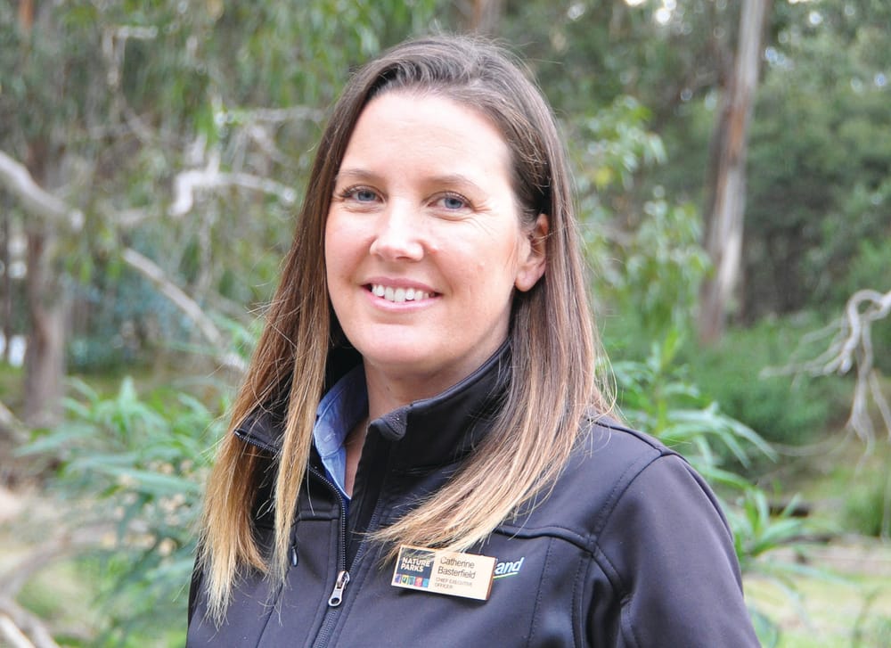 DAL: Tourism supports locking in town boundaries, with a caveat post image