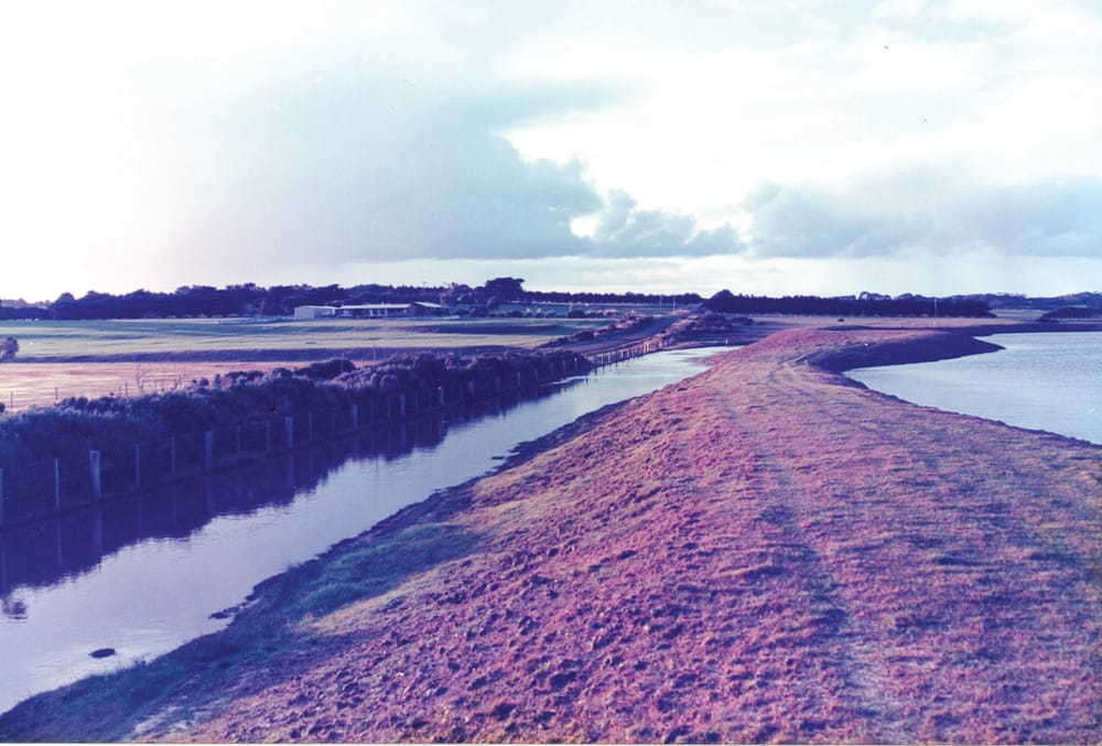 Kitty Miller resort risk post image