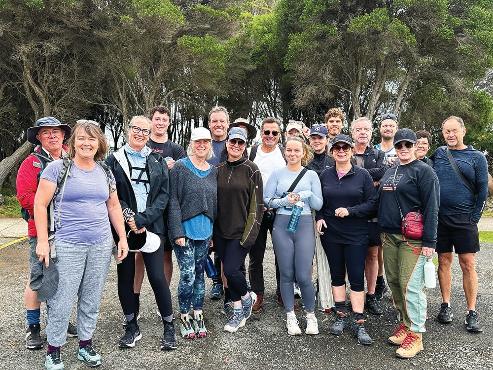 Walk to fight dementia post image