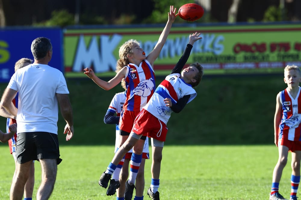 Nothing but puppy love in U10's derby day match post image