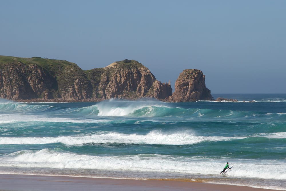 PI Pro returns in February 2022 post image