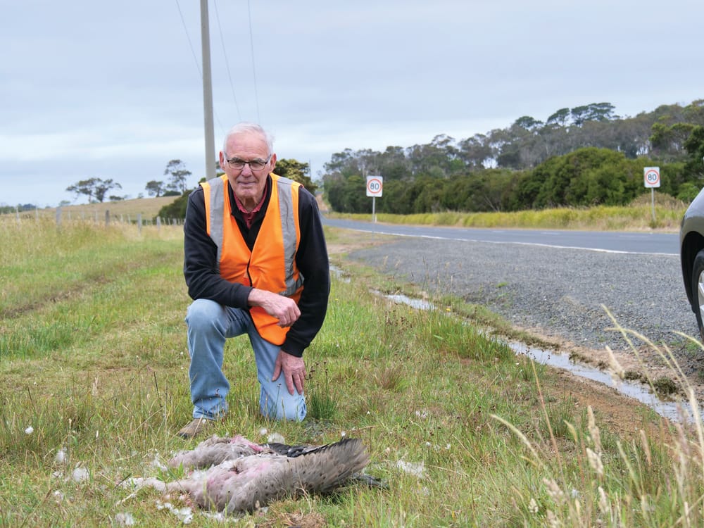 Phillip Island’s “most confusing” road speeds post image