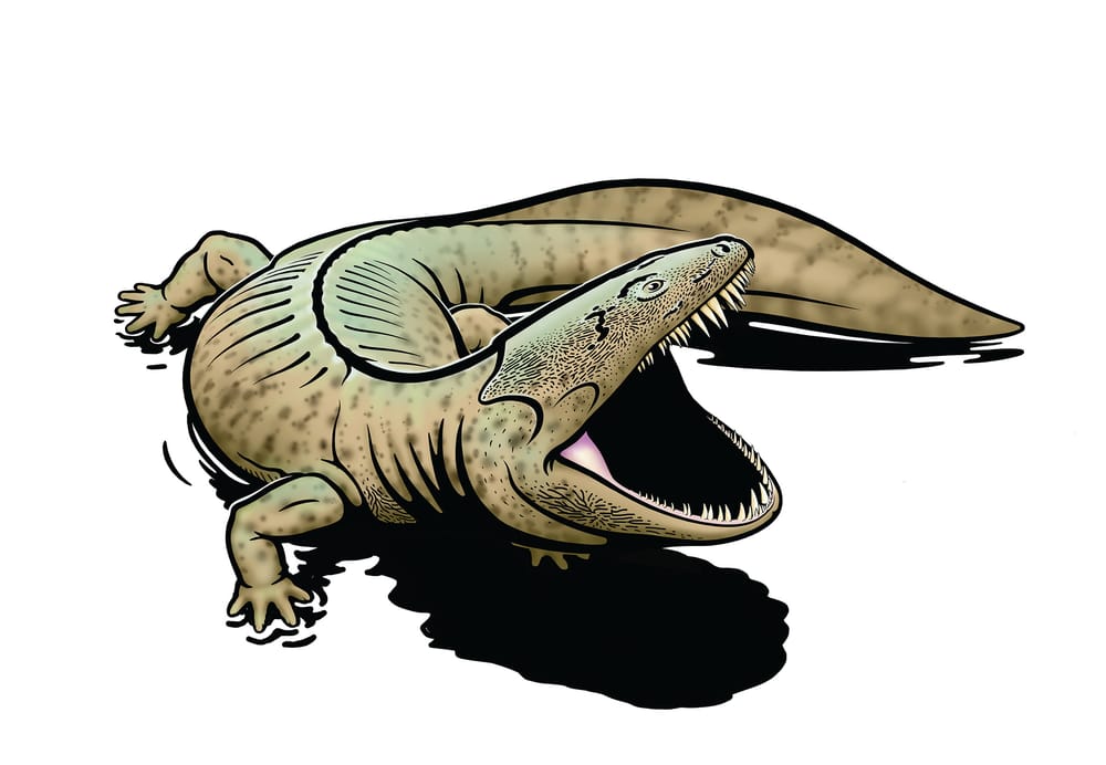 Year 12 exam features San Remo find post image