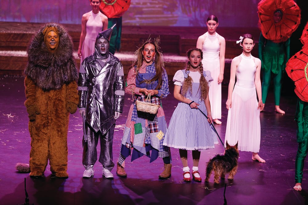 Wizard returns - There’s no place like home … post image