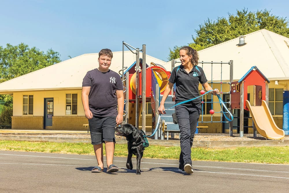 Support Paw Pals post image