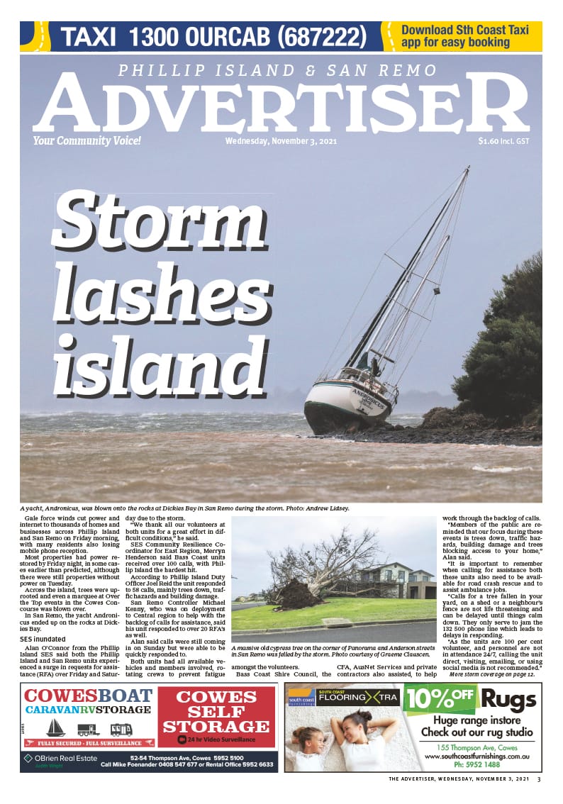 Wednesday, November 3, 2021 post image