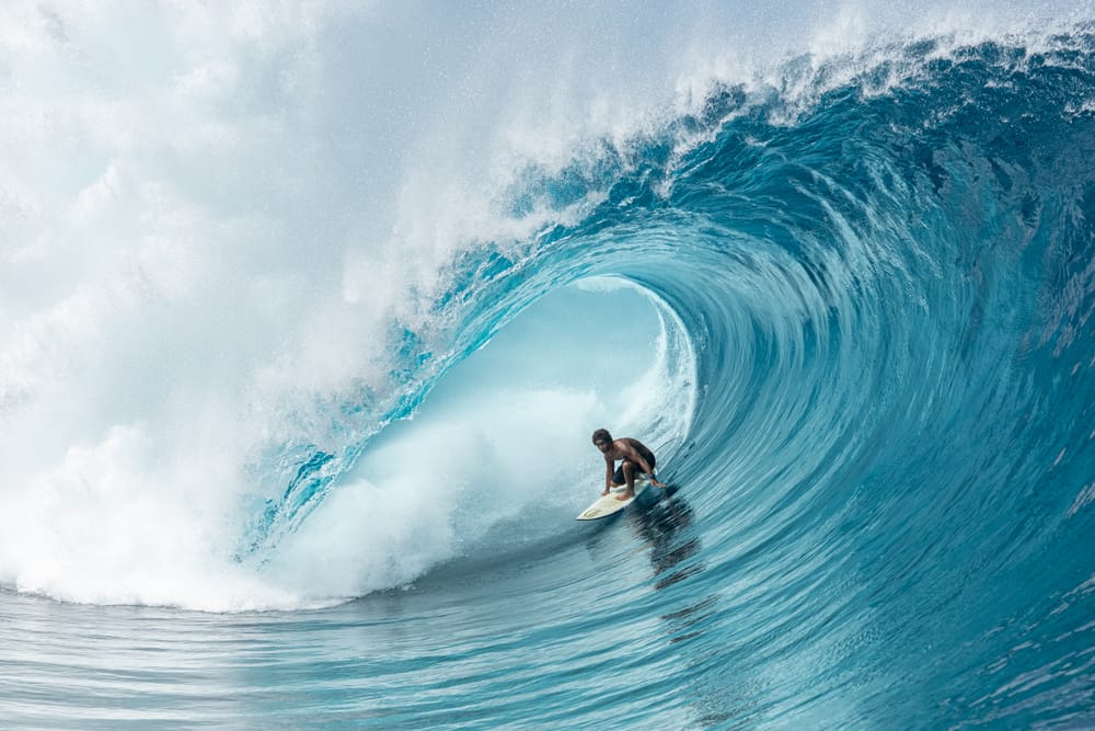 Dive into the depths of the Ocean Film Festival post image