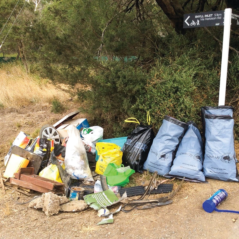 Friends of Koalas clean up post image