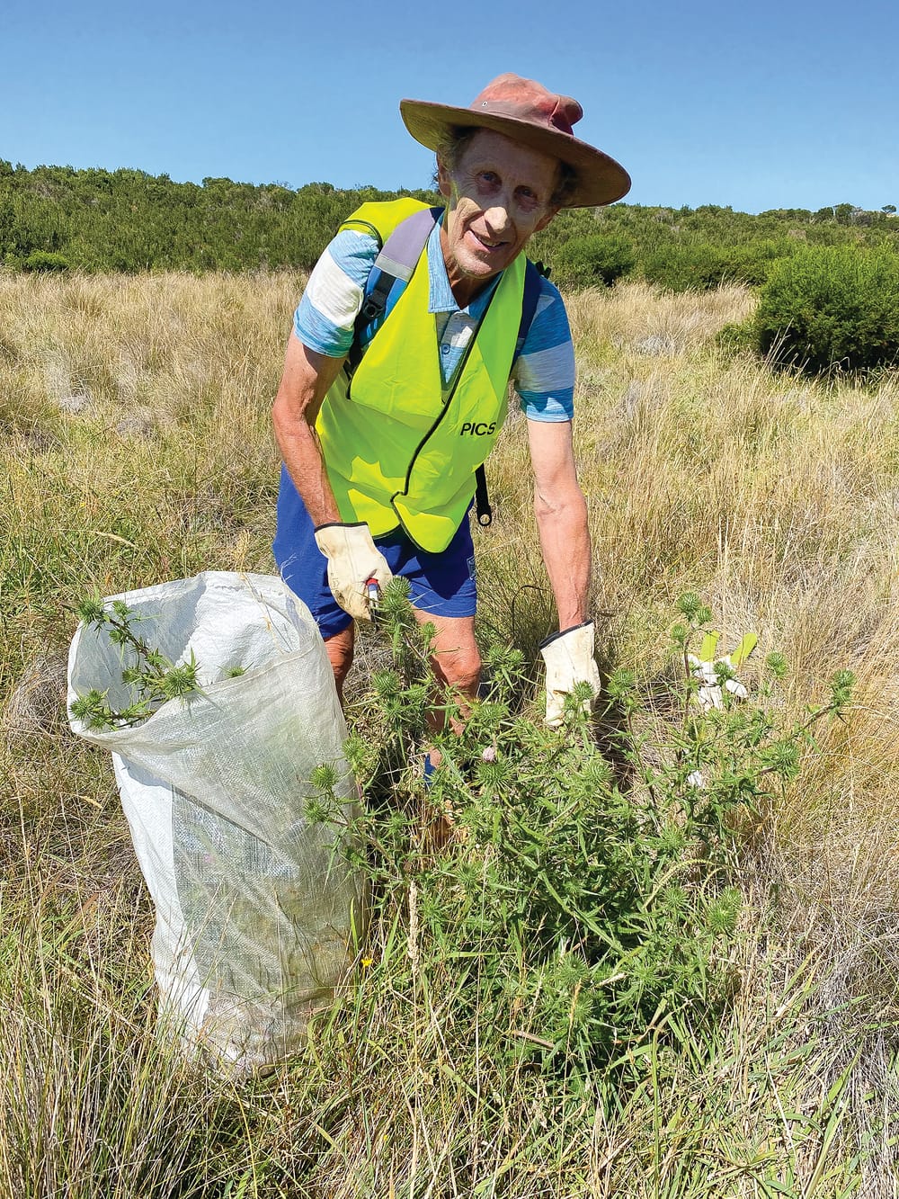Scenic Estate working bee post image