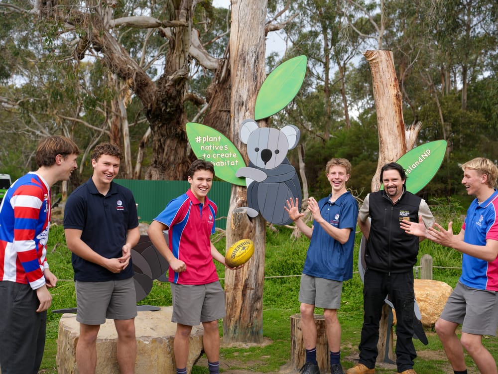 Footy and furry friends this Save the Koala Day post image