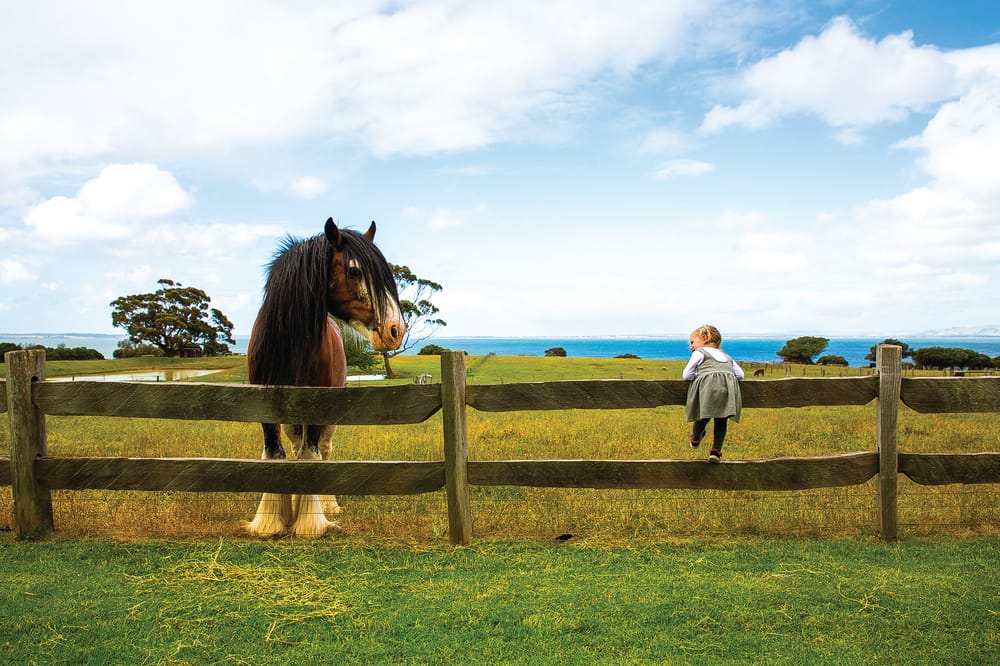 Join Friends of Churchill Island post image