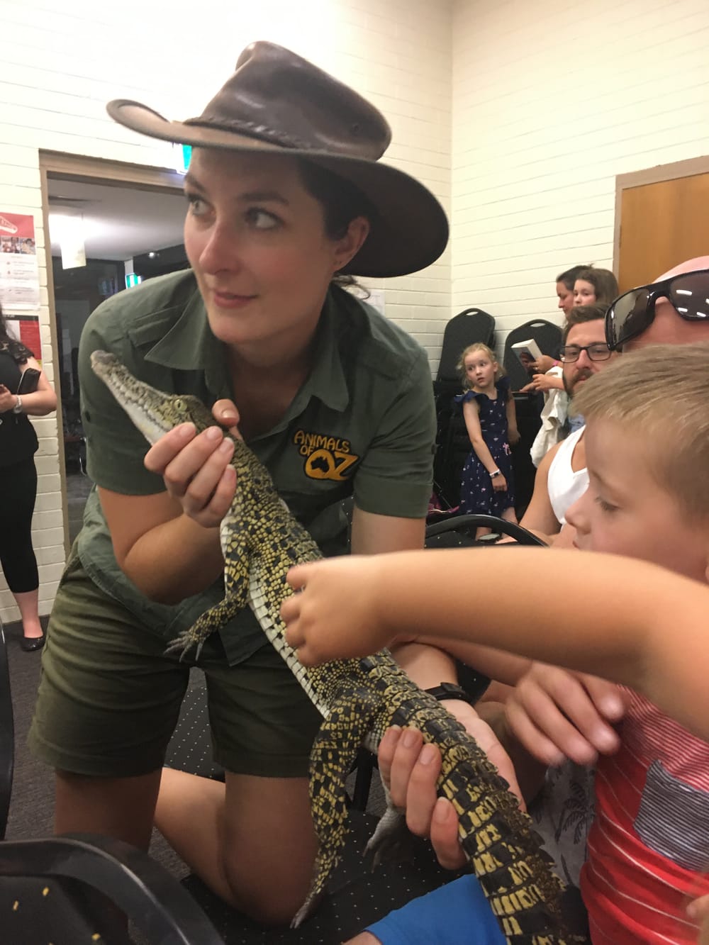 Animals of Oz - session 1 post image