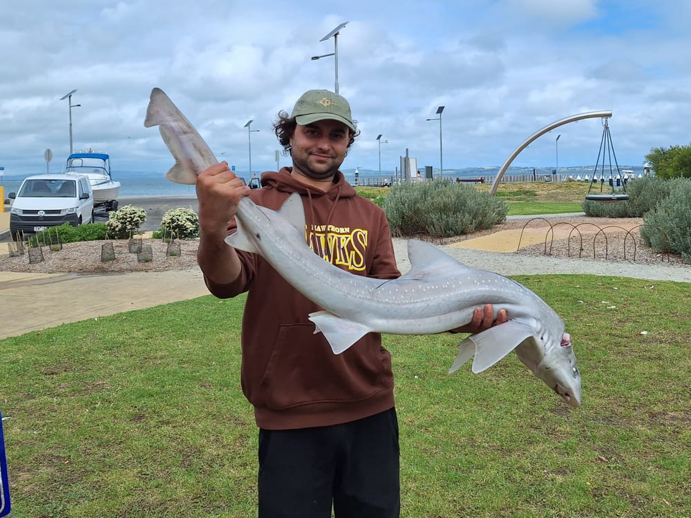 Strong catches despite wild weather post image