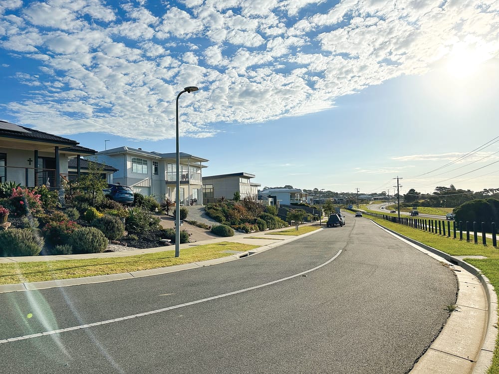 Consultation Sessions: Neighbourhood character, Housing and Canopy draft strategies post image