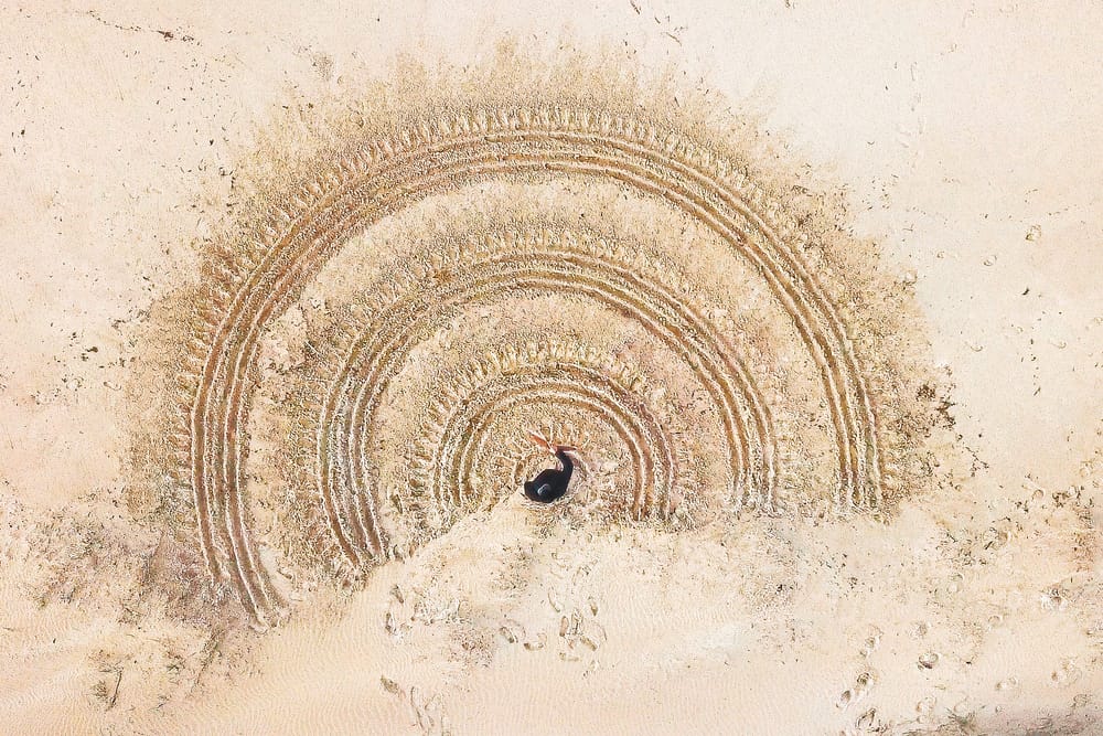 Baluk Arts presents Millowl post image