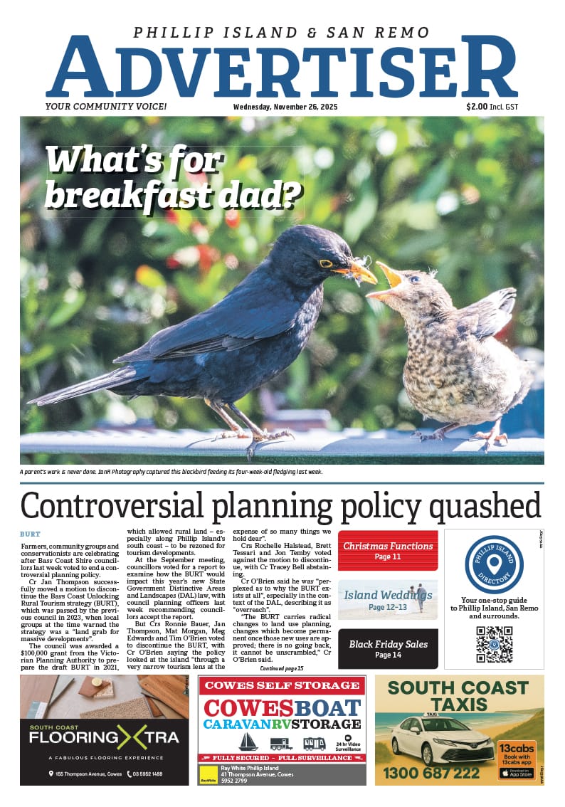 Wednesday, November 26, 2025 post image