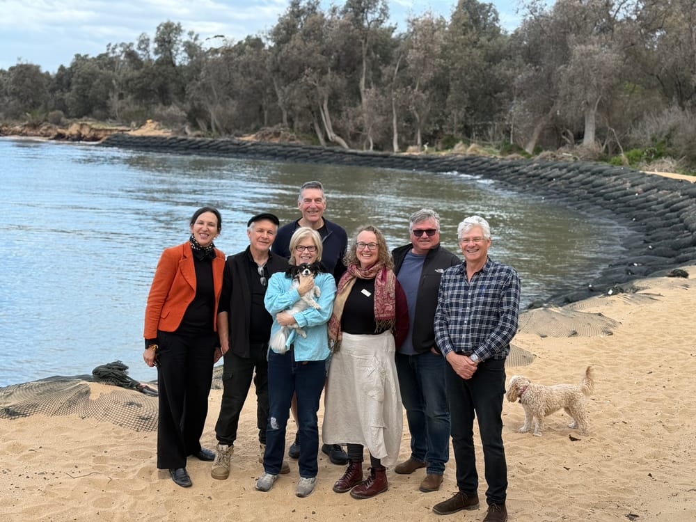 Silverleaves gets its final plan to deal with erosion post image