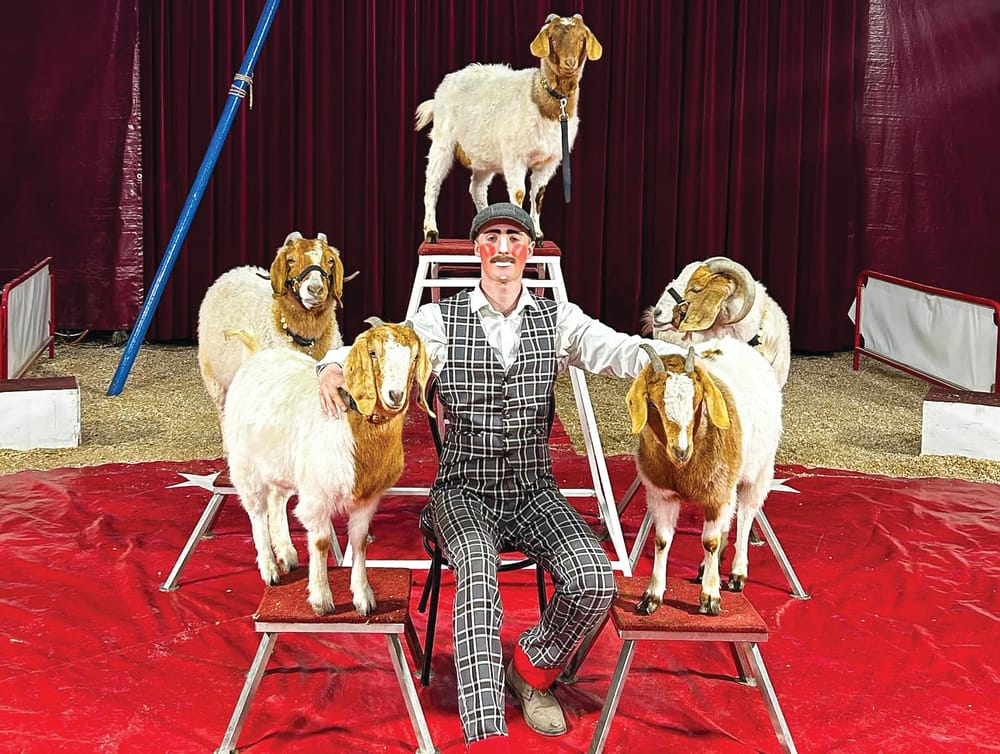 Eroni's Circus on Phillip Island post image