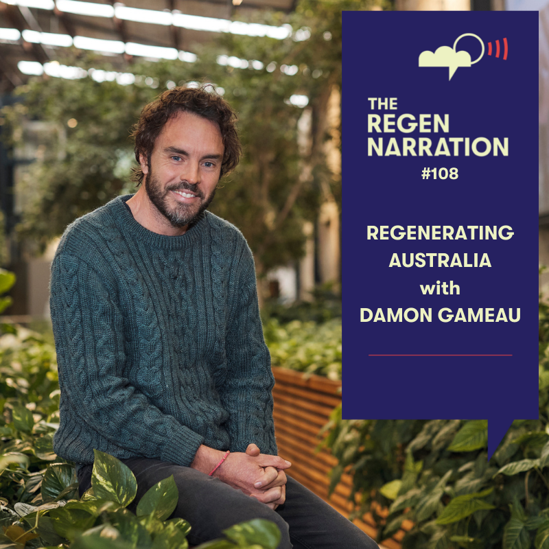 TRPI hosts special film screenings and discussion post image