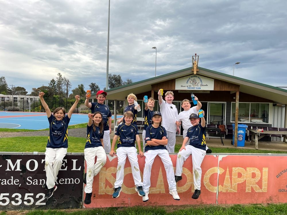 Cricket delirium! post image