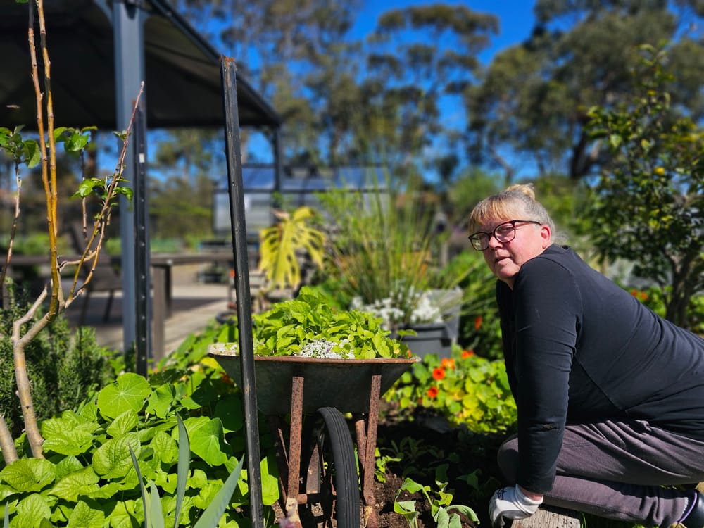 PICAL Garden Open Day post image
