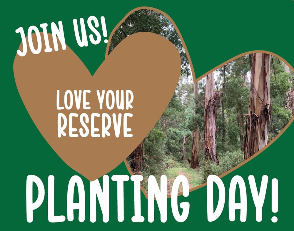 Planting Day - Kongwak post image