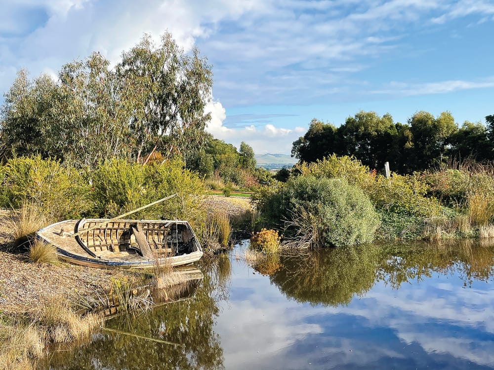 Open Garden: Eden Rise post image