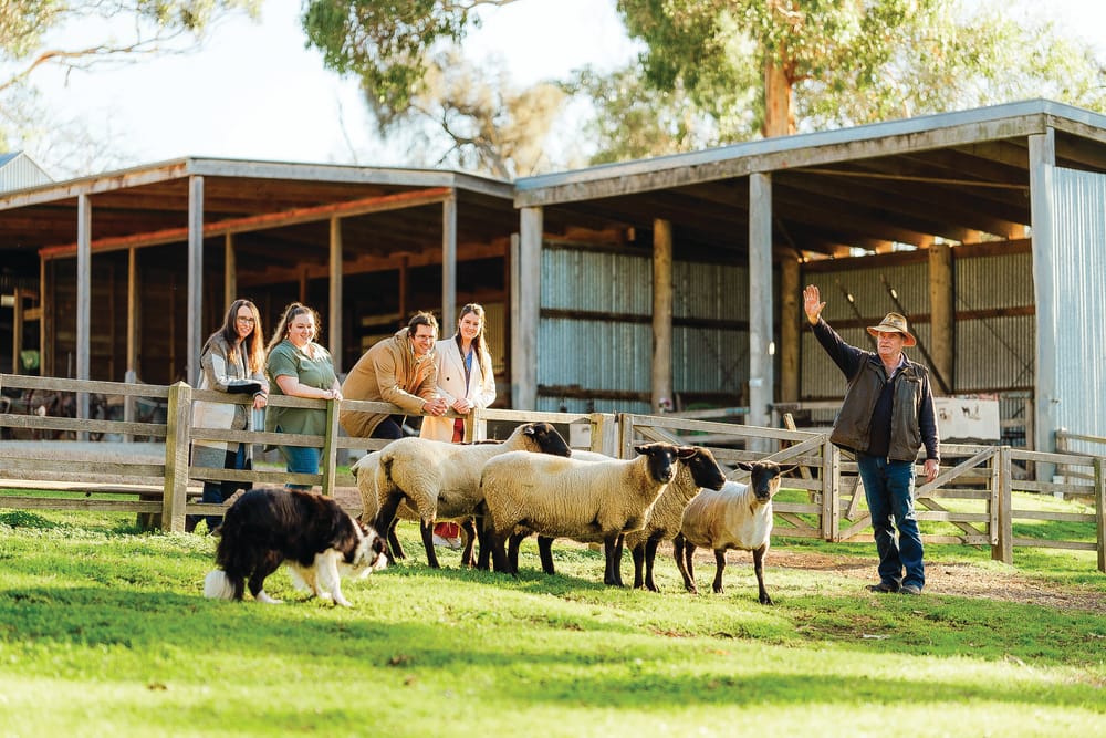 PINP - Community Open Day post image