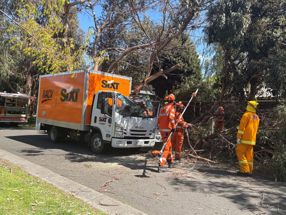 Couple narrowly escape tree crush post image