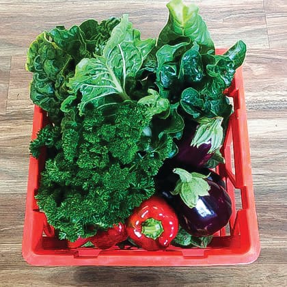 Sustainability Festival reimagined post image