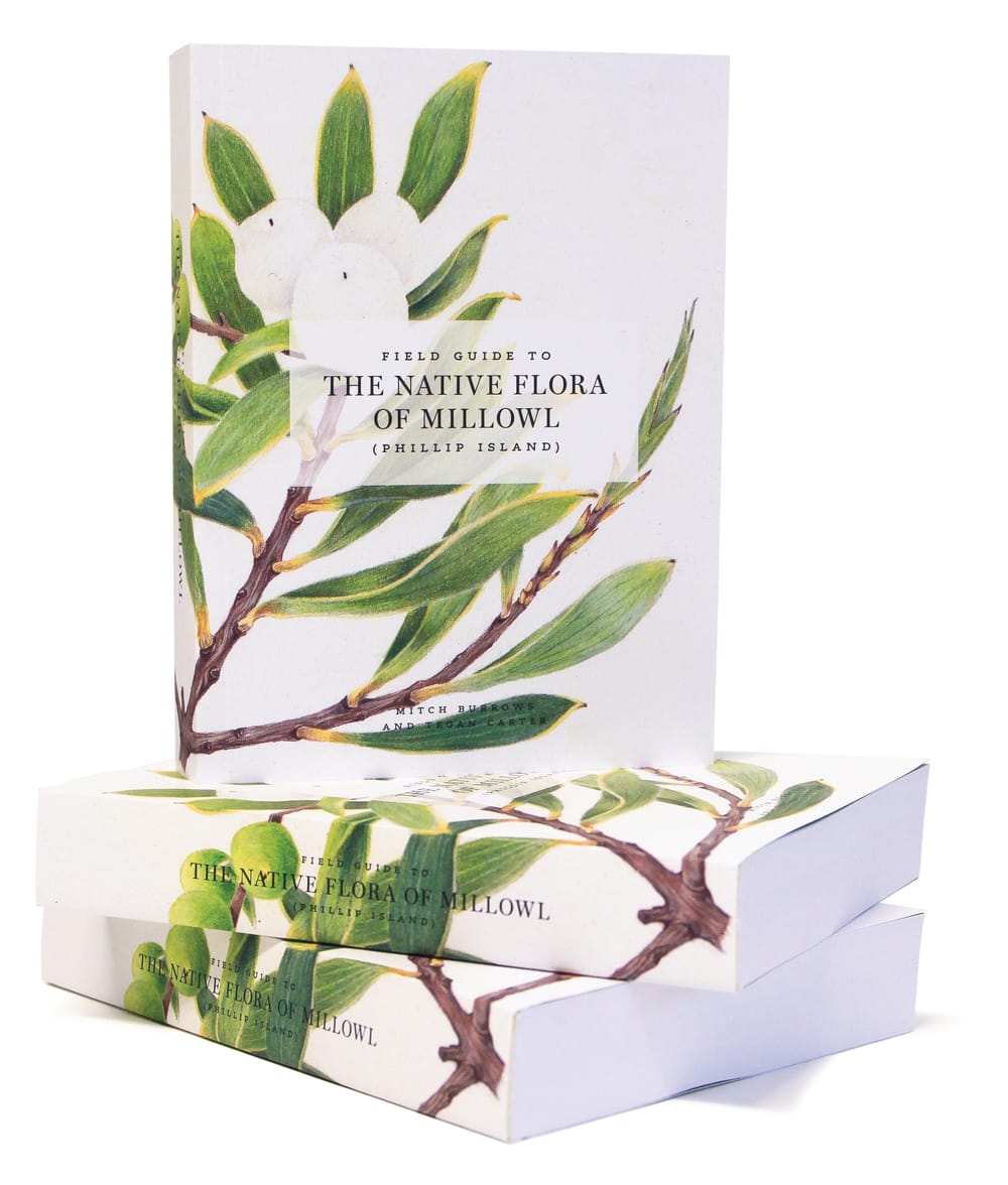 Book launch: A celebration of Phillip Island's plants post image