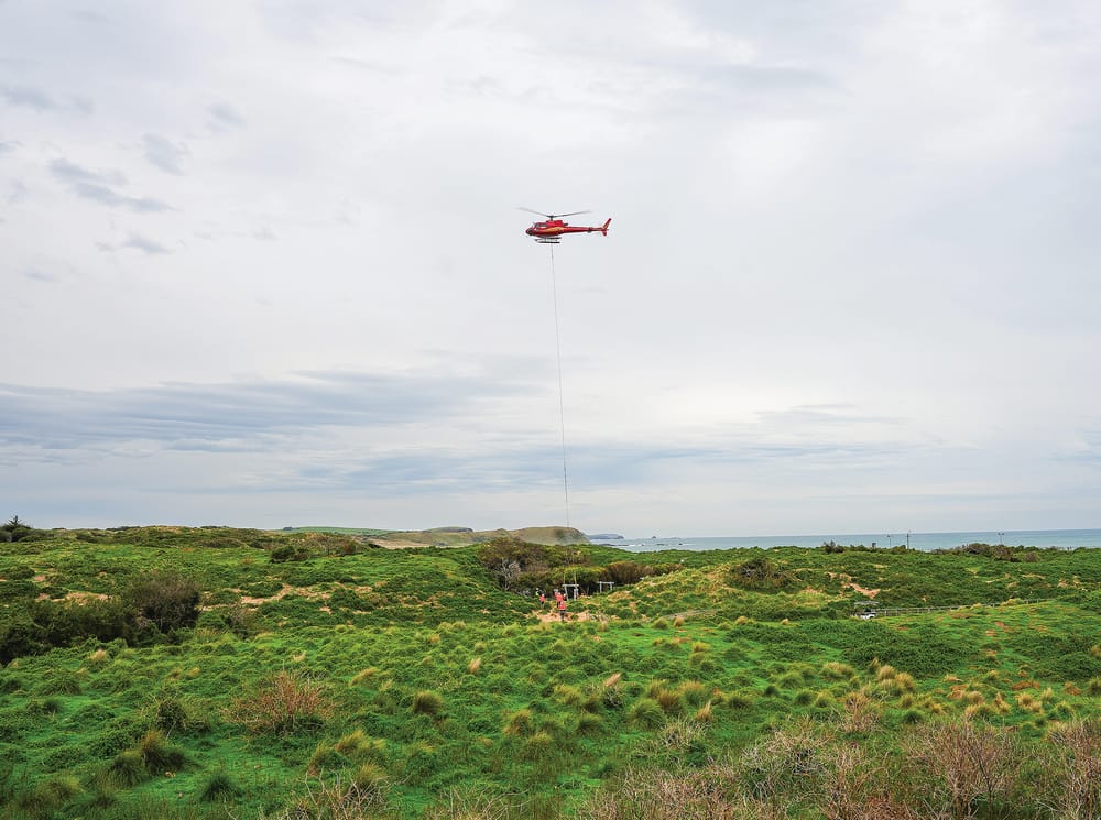Access interrupted to Penguin Parade on Thursday post image