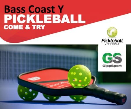 Pickleball - Come and Try at the Y post image