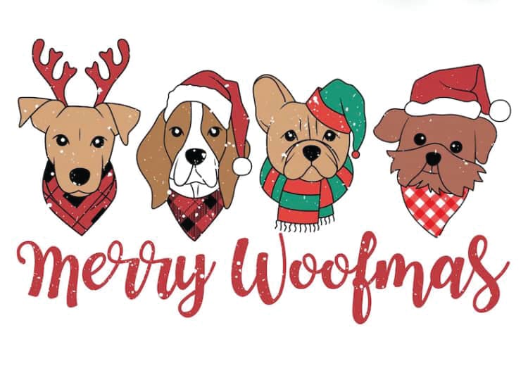 Christmas Walk - Phillip Island Bass Coast Dog Owners Association post image