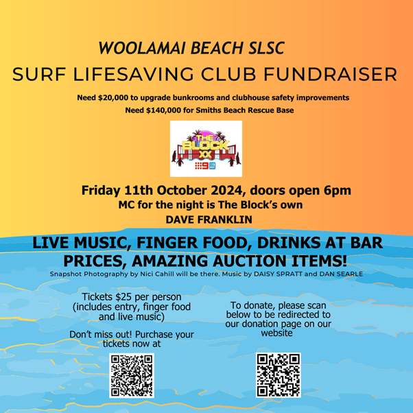 WBSLSC Fundraising auction post image