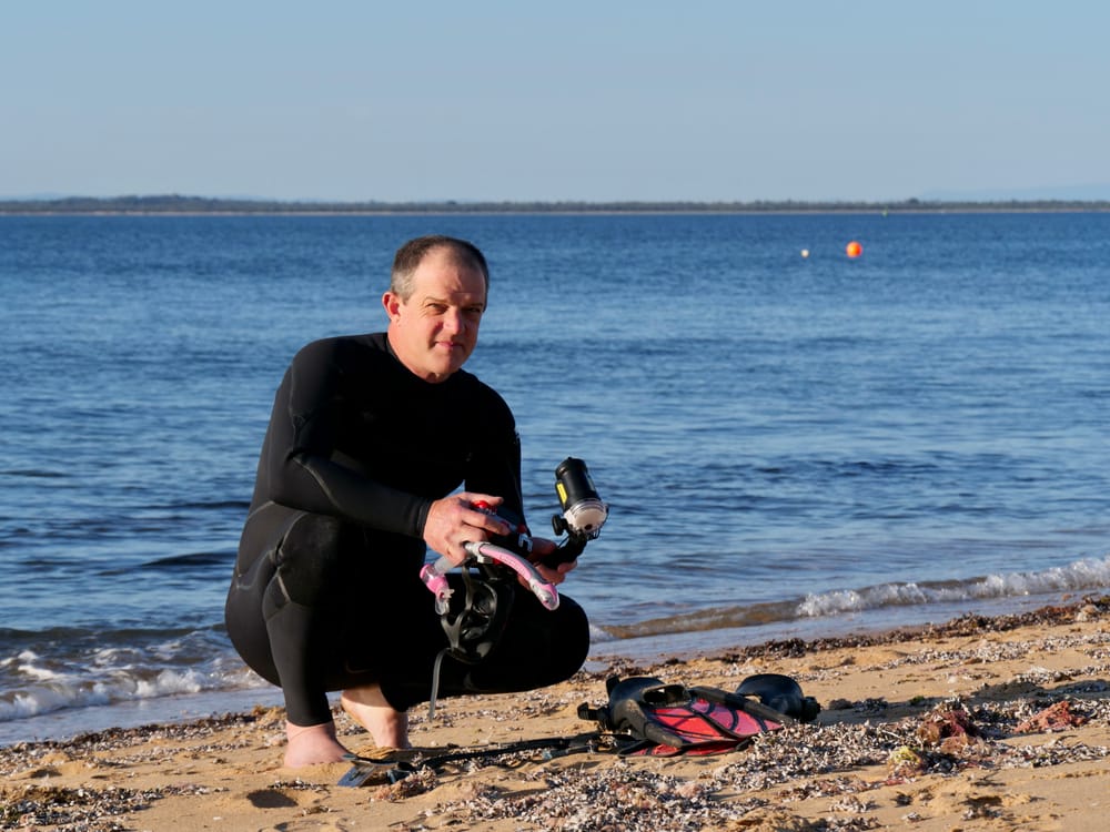 Western Port contains a soup of chemical contaminants: study post image