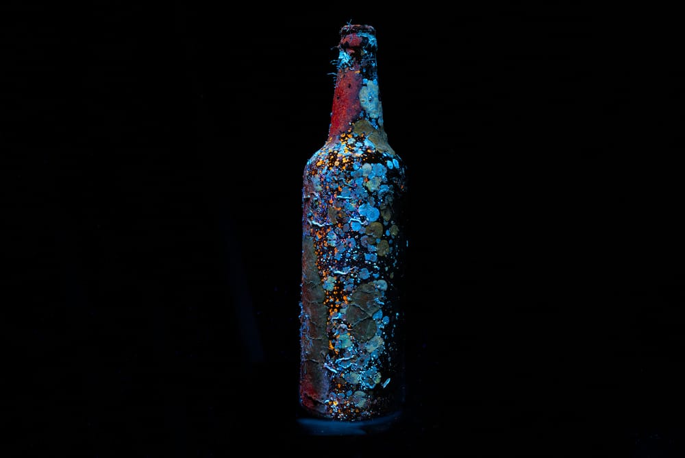 A deep dive into nature post image