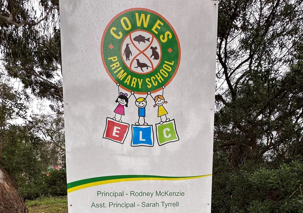 Local gold stars in NAPLAN figures post image