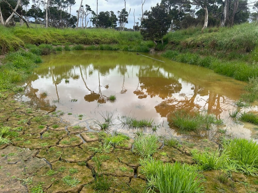 Thank the heavens, rain revives water supplies post image