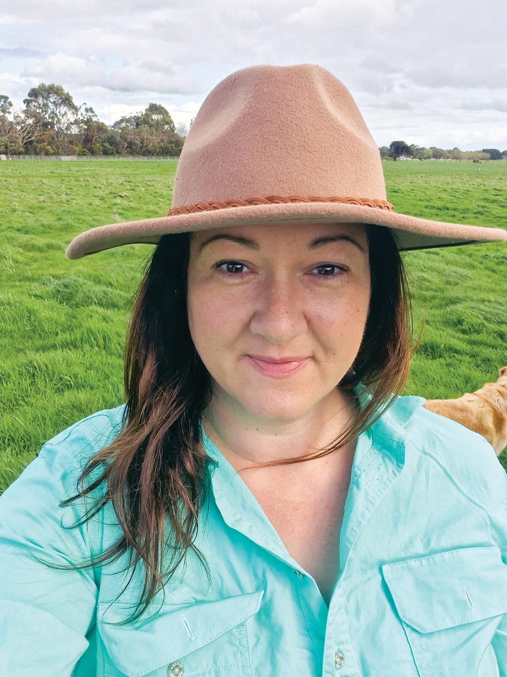 Drought pushing farmers' mental health post image