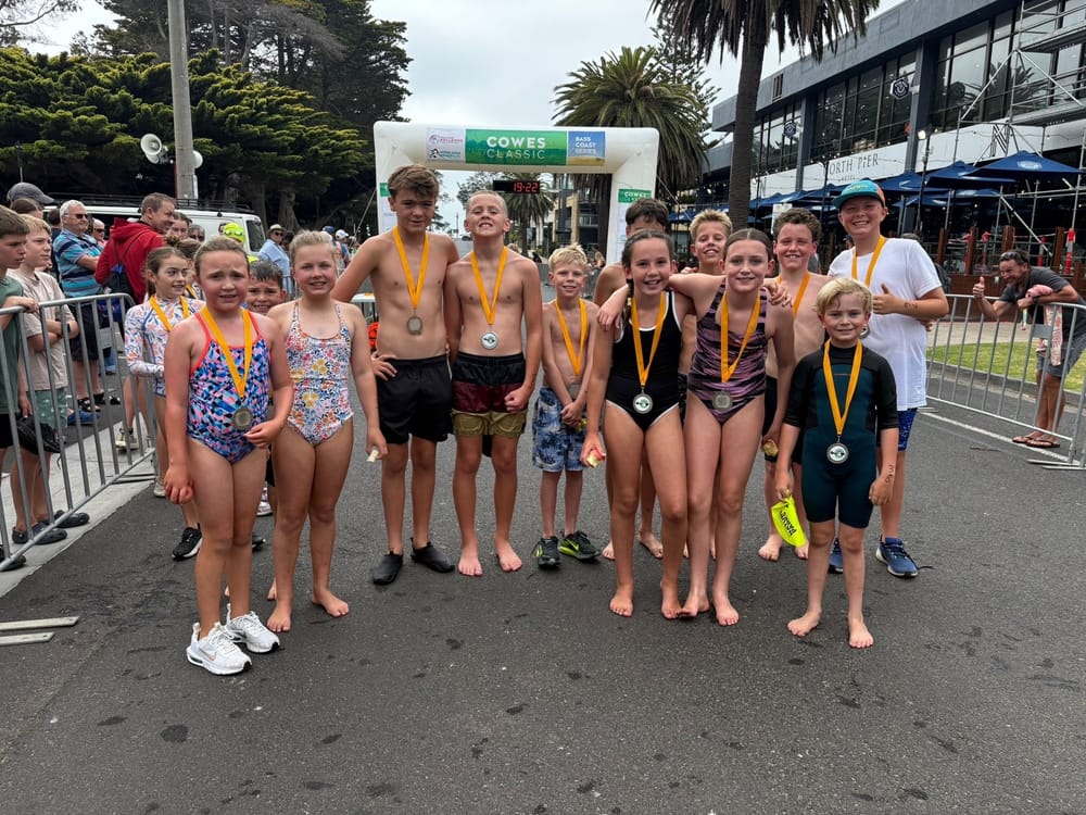 2026 Little Penguin Dash post image