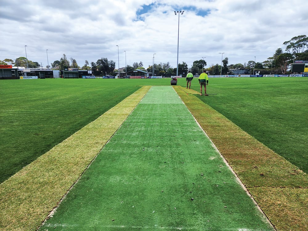 Grass is still greener post image