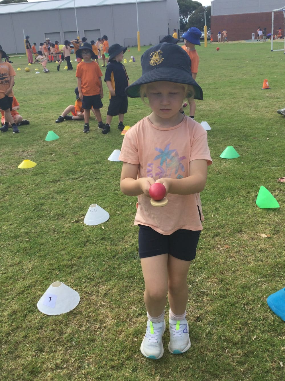 Newhaven Primary in Harmony post image