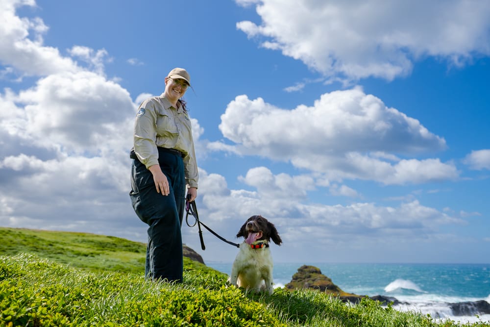 Report card for threatened species post image